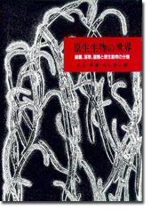 原生生物の世界