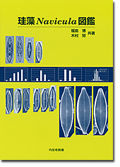 ]<i>Navicula</i>}