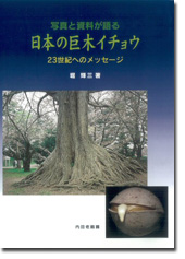 日本の巨木イチョウ