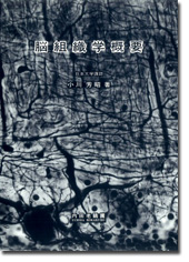 脳組織学概要
